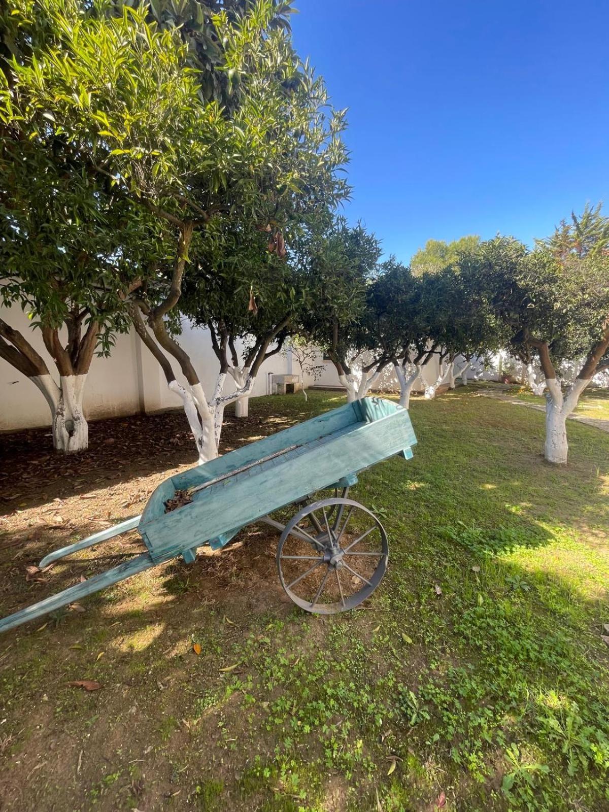 Villa Clori Salice Salentino Εξωτερικό φωτογραφία